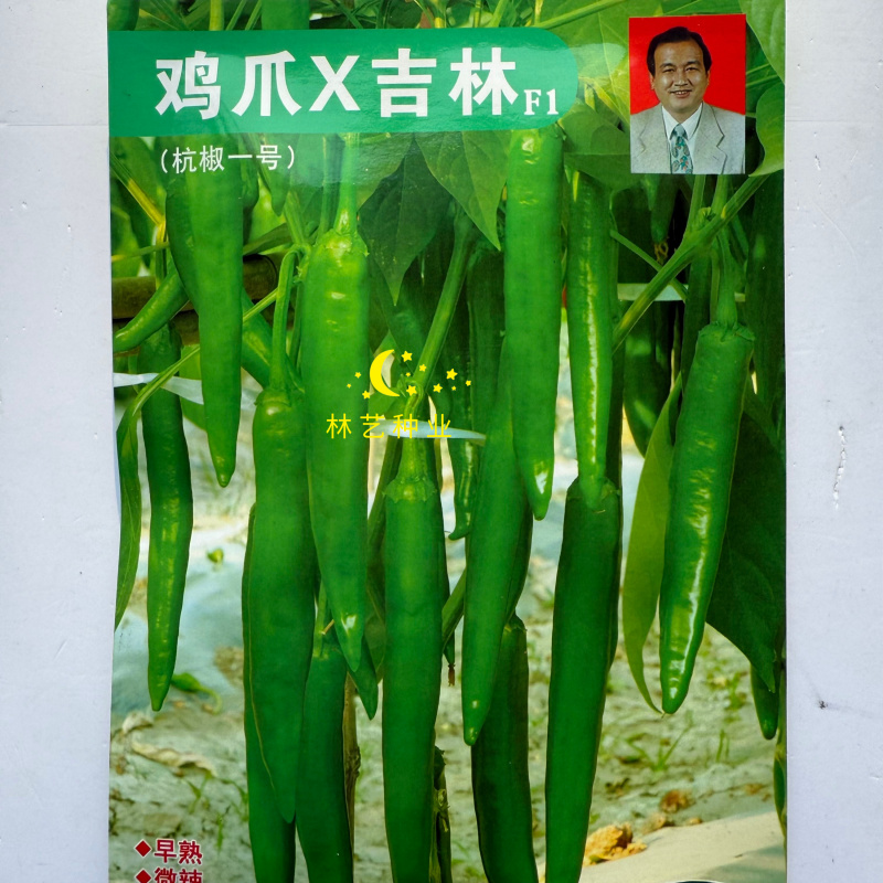 鸡爪X吉林早熟辣椒种子高产抗病性强辣椒种子高山辣椒