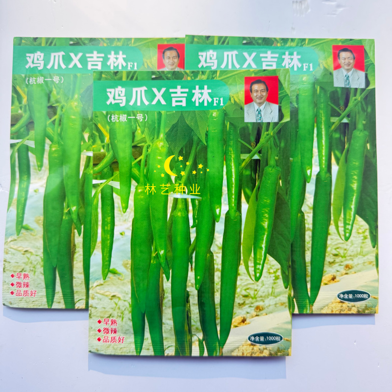 鸡爪X吉林早熟辣椒种子高产抗病性强辣椒种子高山辣椒