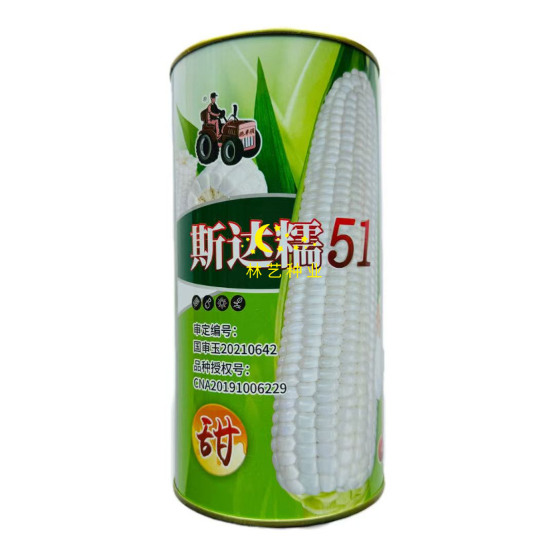 斯达糯51白糯甜玉米种子大棒型鲜食粘糯玉米种籽春秋播种高