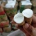 哈密红薯有大量库存，山东邹城市，