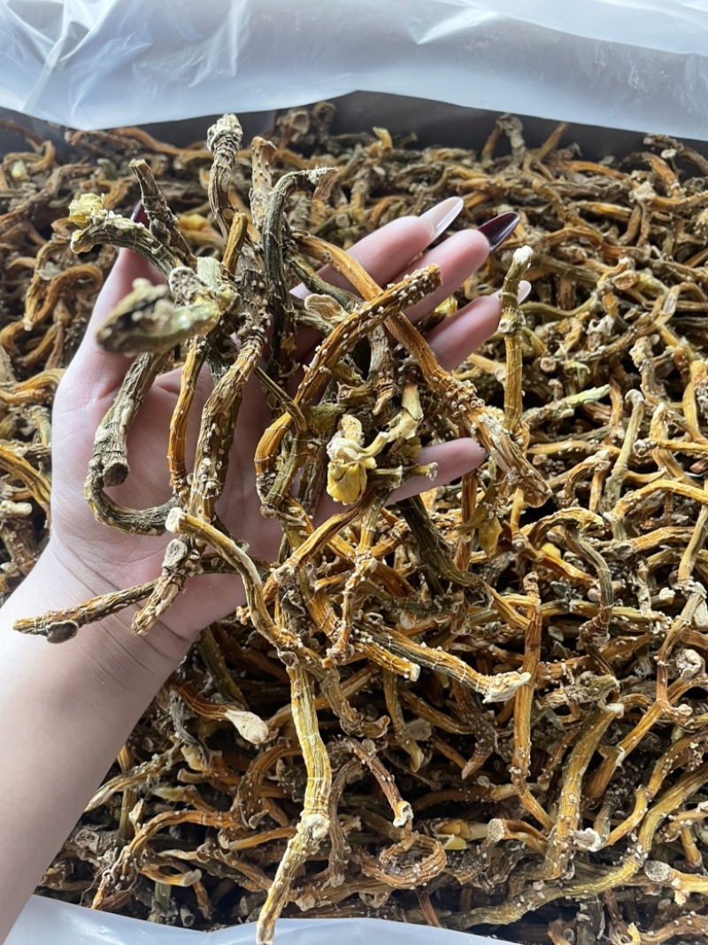 玉竹三蒸三晒玉竹无硫熏新货批发零售均可