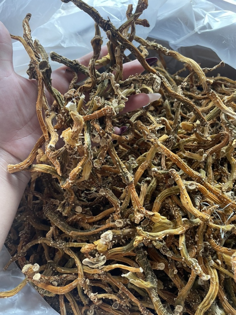 玉竹三蒸三晒玉竹无硫熏新货批发零售均可