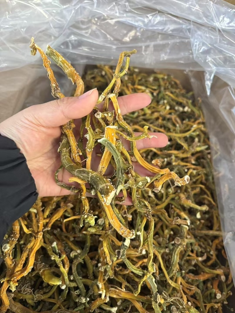 玉竹三蒸三晒玉竹无硫熏新货批发零售均可