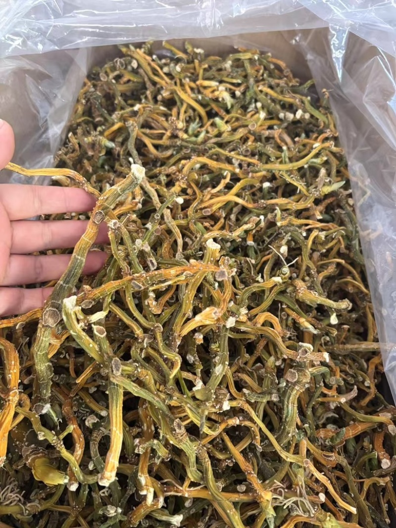 玉竹三蒸三晒玉竹无硫熏新货批发零售均可