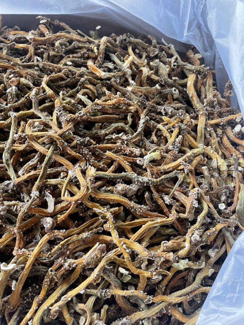 玉竹三蒸三晒玉竹无硫熏新货批发零售均可