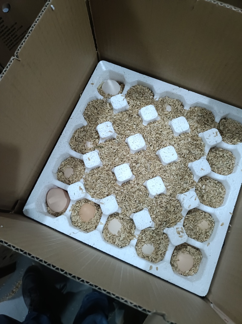 有需要一件代发的老板欢迎联系