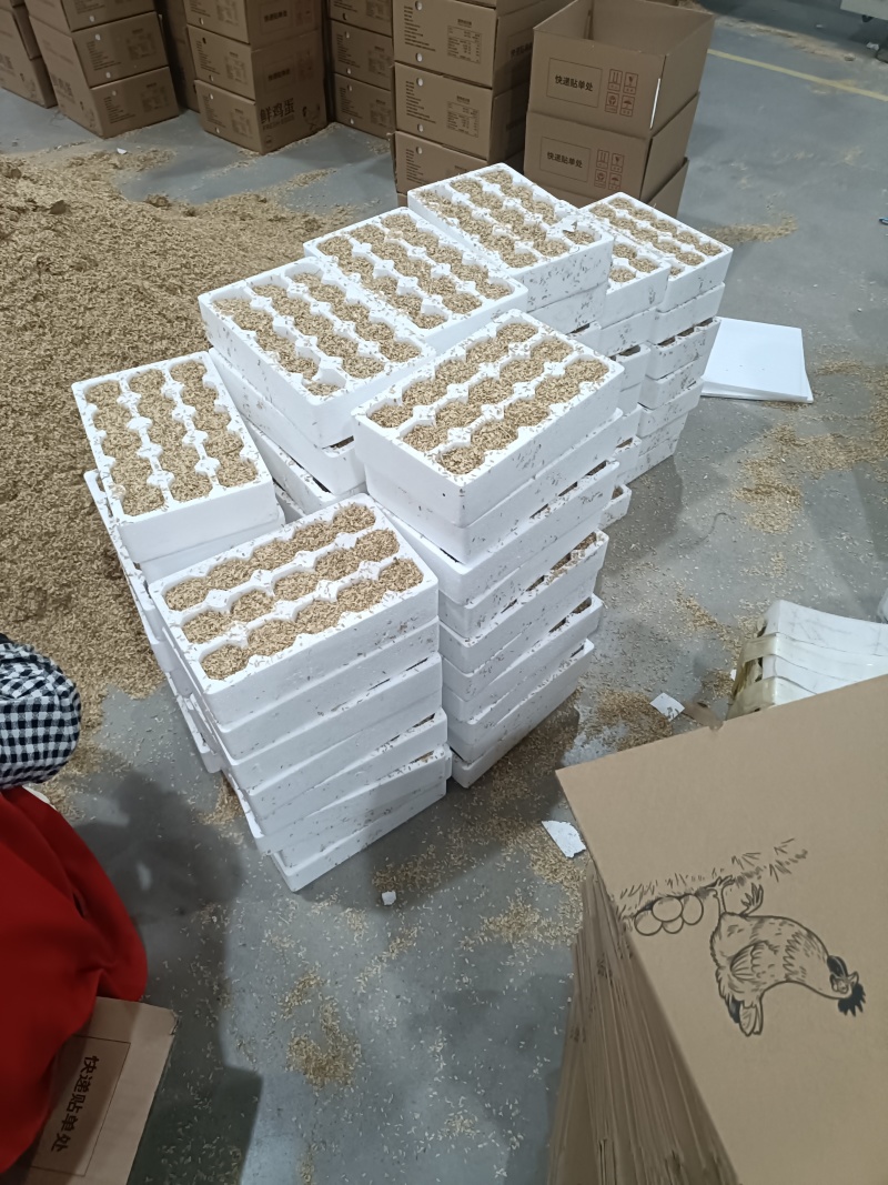 有需要一件代发的老板欢迎联系