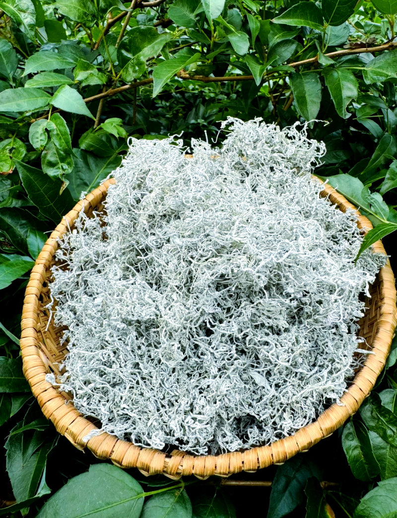 莓茶，藤茶