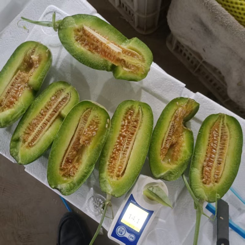 博洋72甜瓜密园十八绿美人金冠量大口感好看货定棚