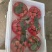 宁玉草莓大量上市中有想法的老板联系