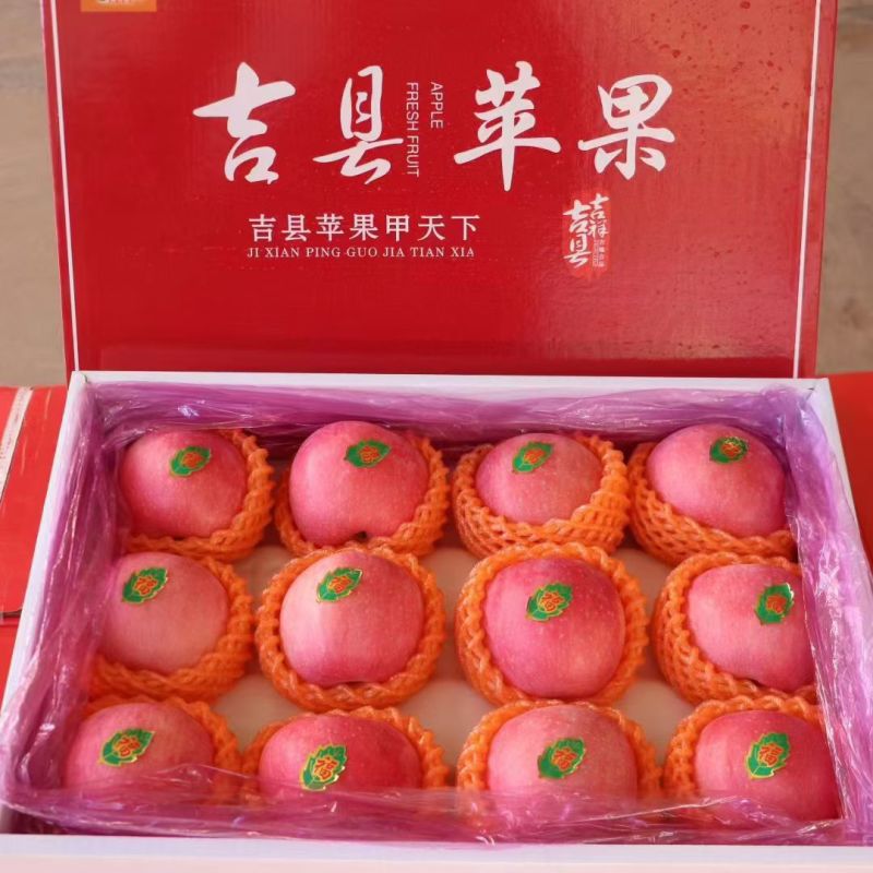 山西吉县红富士