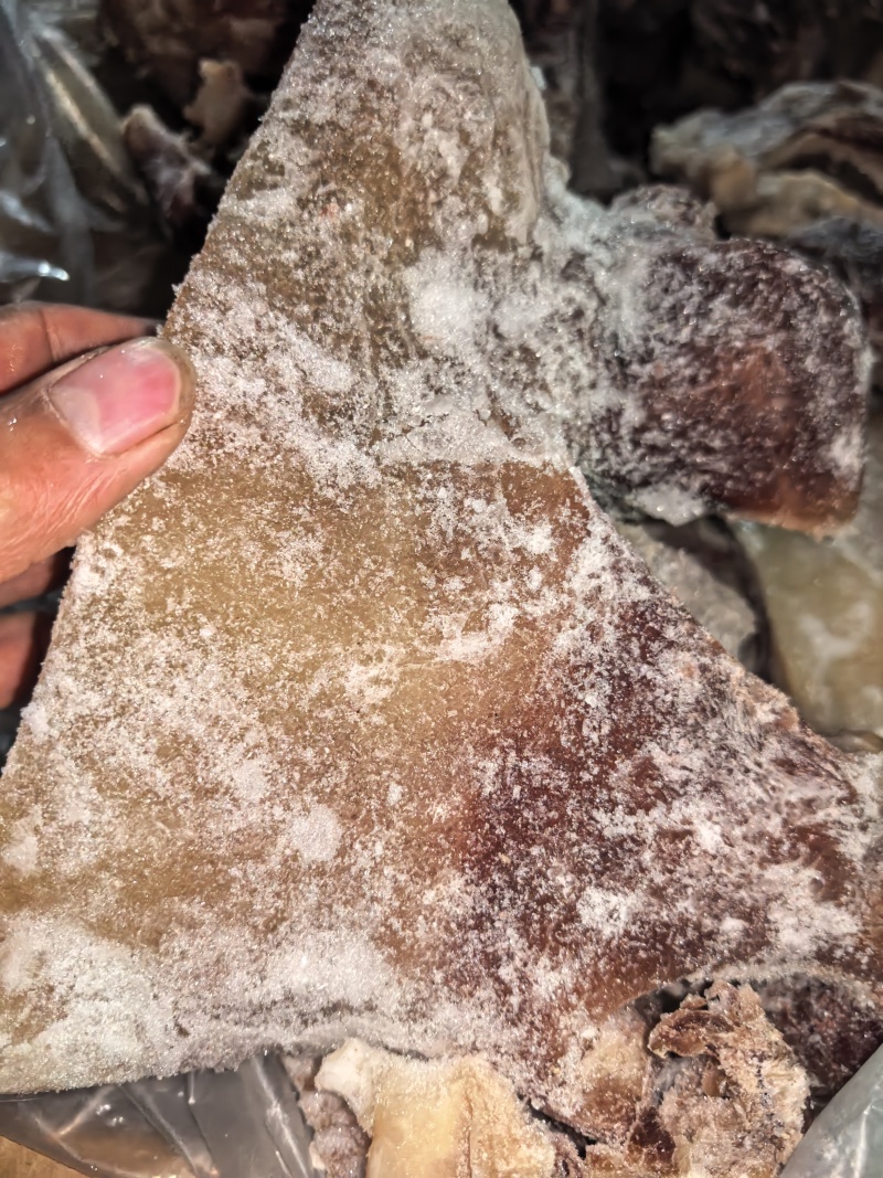牛嘴巴牛嘴叉牛嘴唇纯干货，可定制