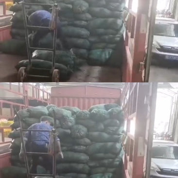 麦冬草