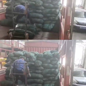 麦冬草