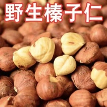 榛子仁袋装新货炒熟无壳小榛子仁原味铁岭批发