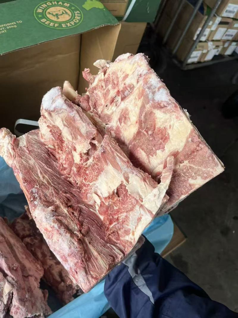 牛腰椎骨