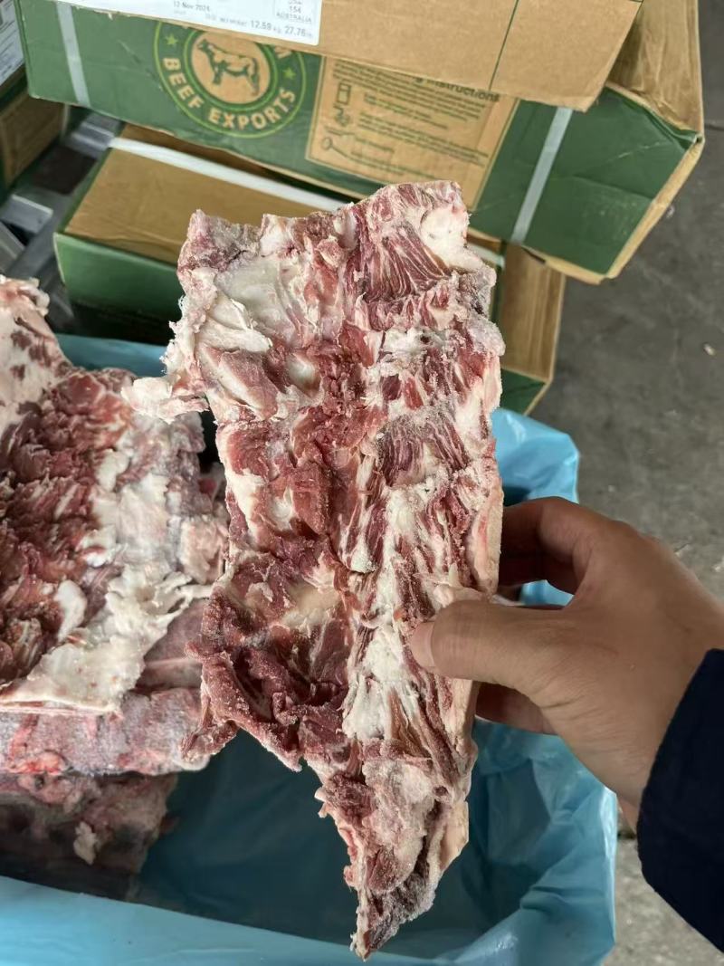 牛腰椎骨