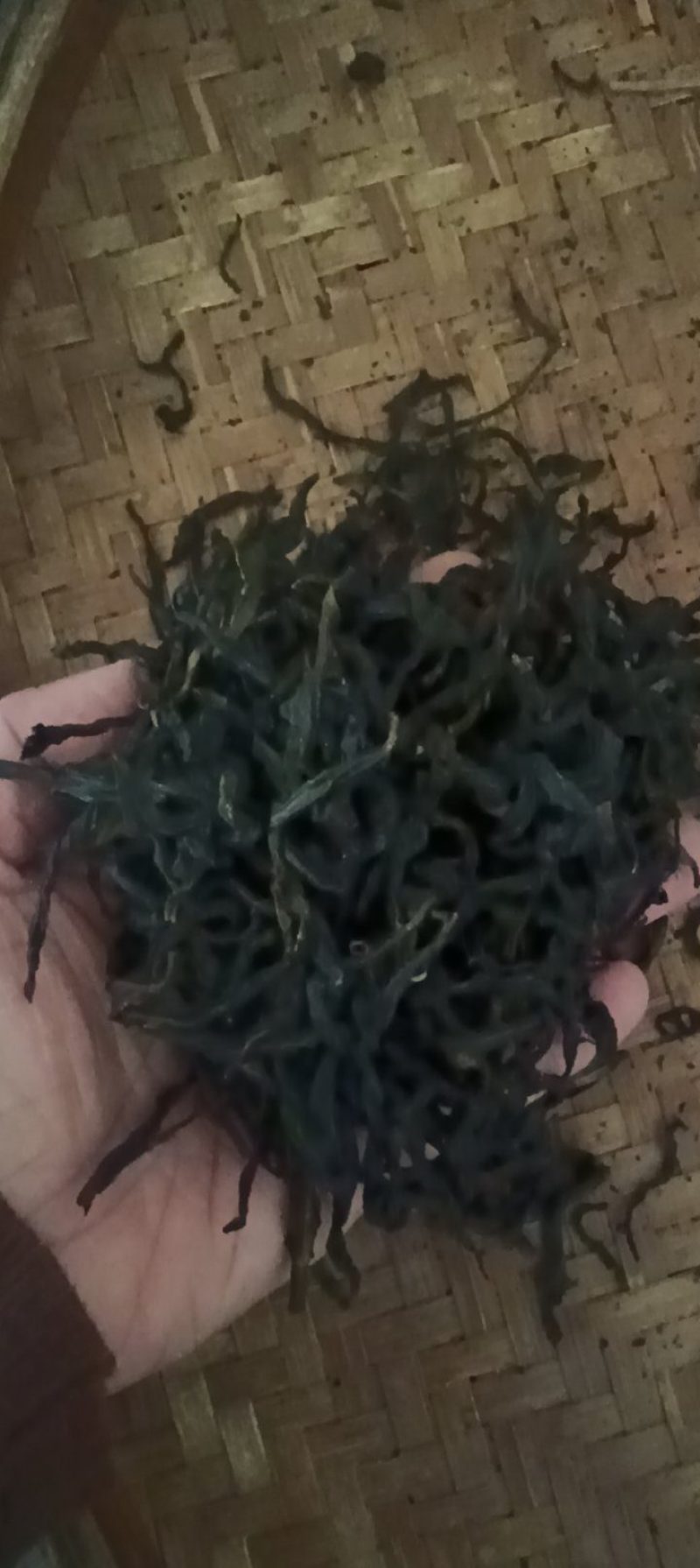 春鸭屎香，花香奶香味十足