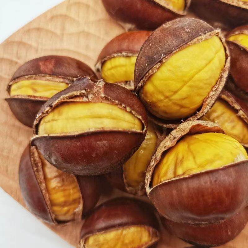 开口栗子熟板栗即食新鲜原味野生带壳现发坚果休闲零食批发