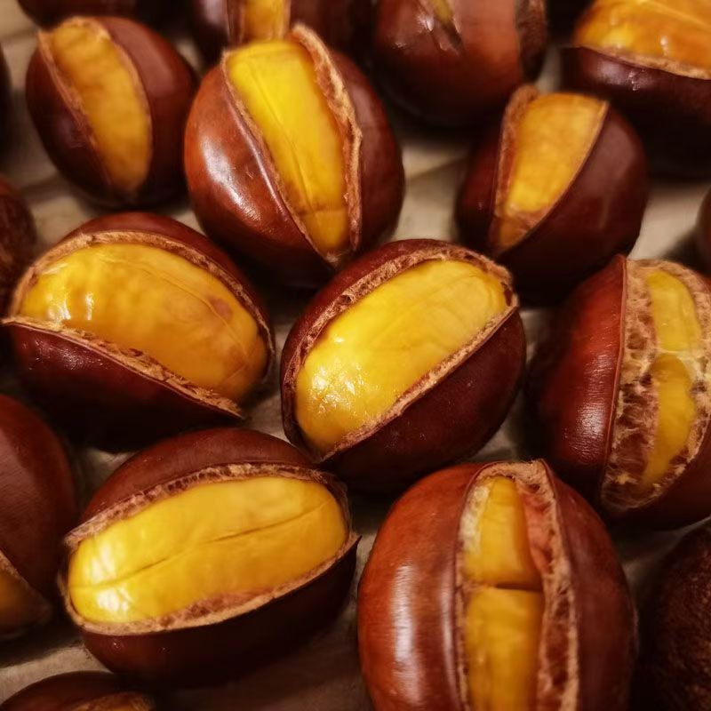 开口栗子熟板栗即食新鲜原味野生带壳现发坚果休闲零食批发