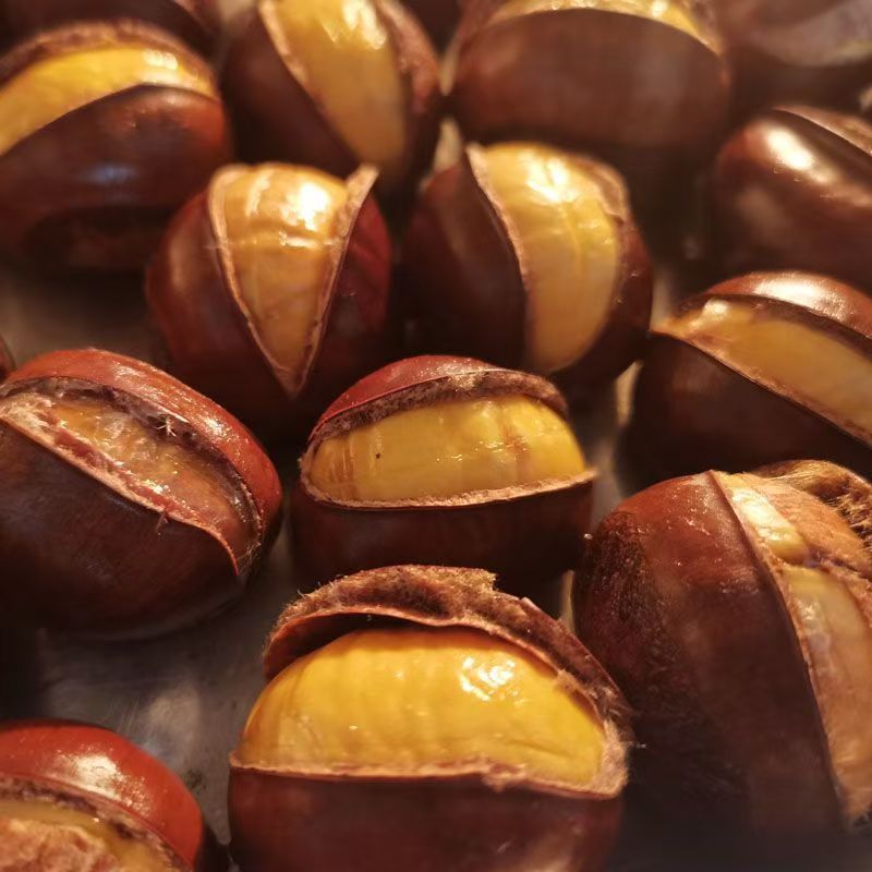 开口栗子熟板栗即食新鲜原味野生带壳现发坚果休闲零食批发