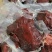 真空包装麻辣酱香肉五香酱香肉熟酱香肉展销会地摊
