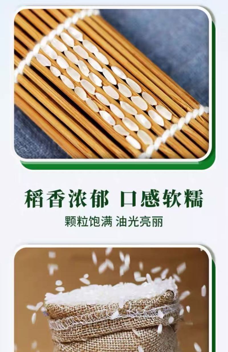 遂宁大米