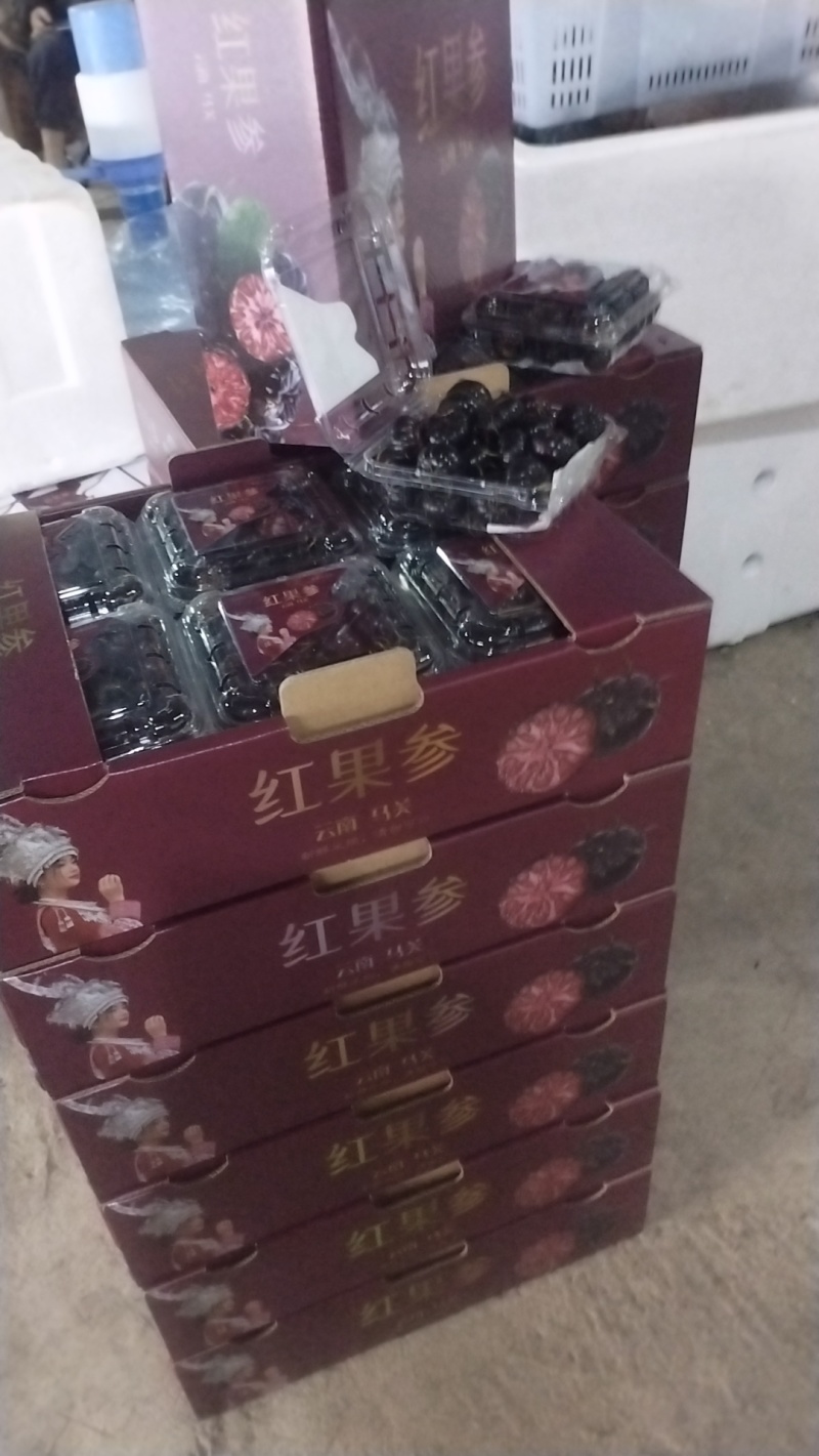 【红果参礼品特选，大果装】产地直供，现摘现发，物流直达
