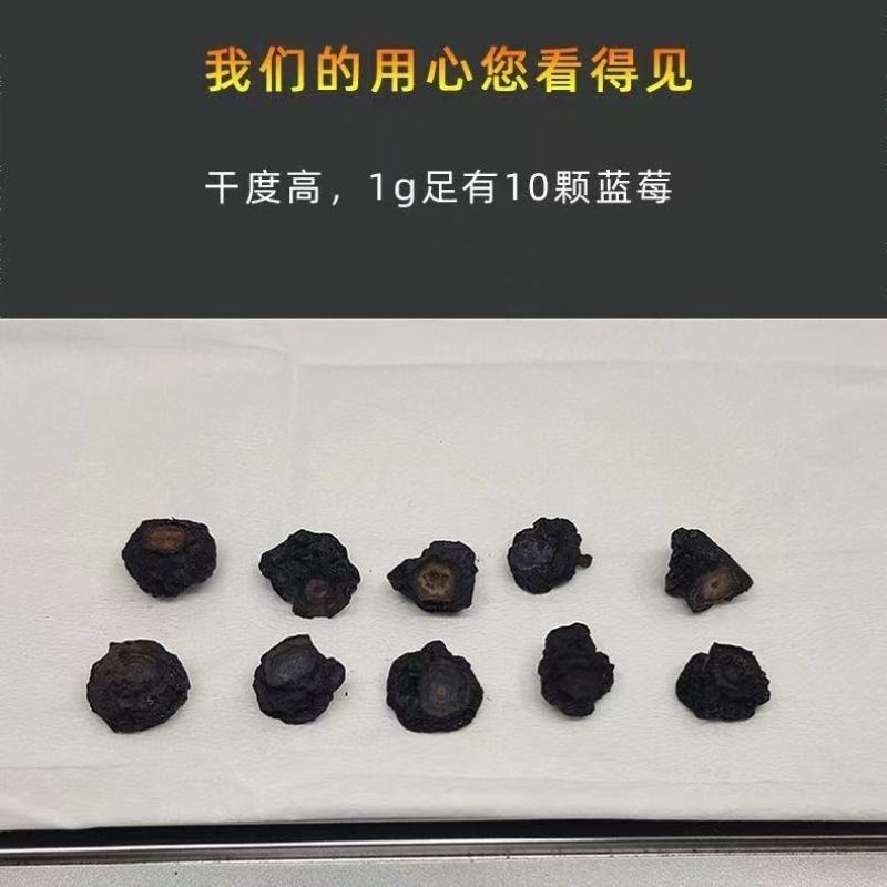 真【无糖】黑龙江大兴安岭精选野生蓝莓干批发
