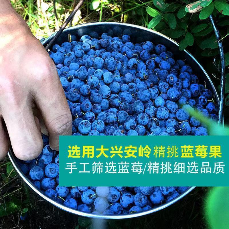 真【无糖】黑龙江大兴安岭精选野生蓝莓干批发