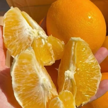 【赣南脐橙·一口阳光，橙就甜蜜】🌞自然厚赠，黄
