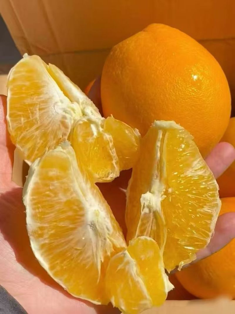 【赣南脐橙·一口阳光，橙就甜蜜】🌞自然厚赠，黄