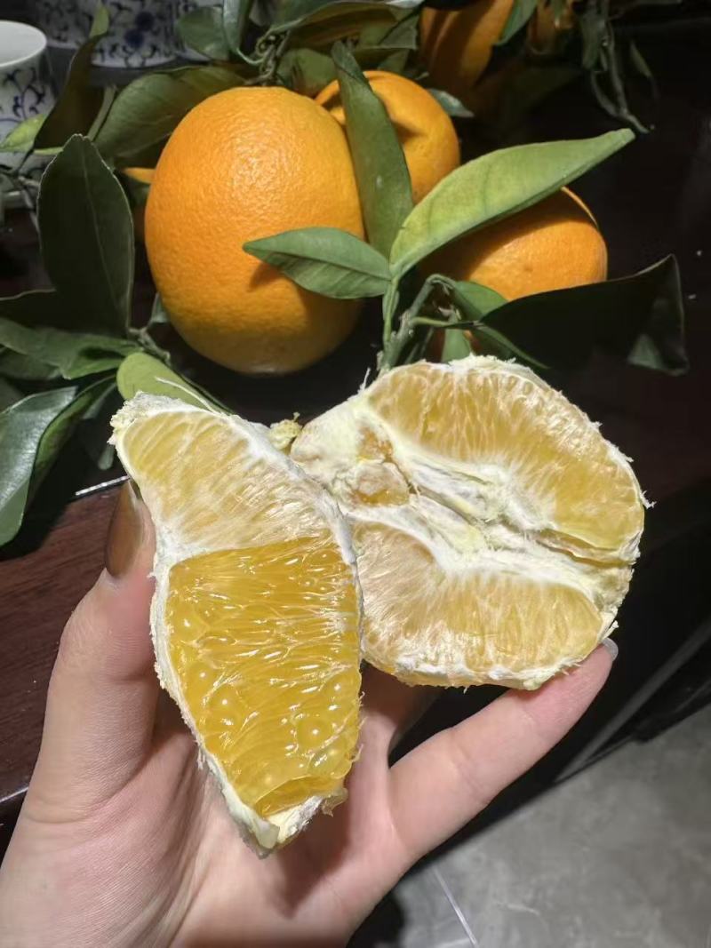 【正宗赣南脐橙】赣州安远县发货，新鲜采摘，不催熟，不打蜡