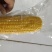 吉林长春玉米，个头大，口感香甜软糯，大量现货，一件代发