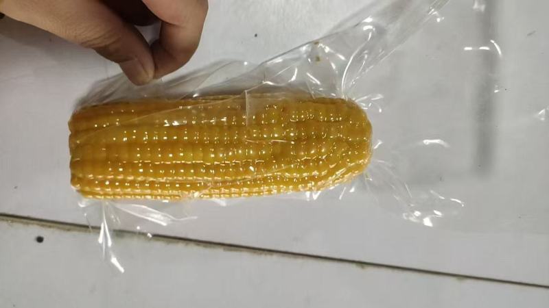 吉林长春玉米，个头大，口感香甜软糯，大量现货，一件代发