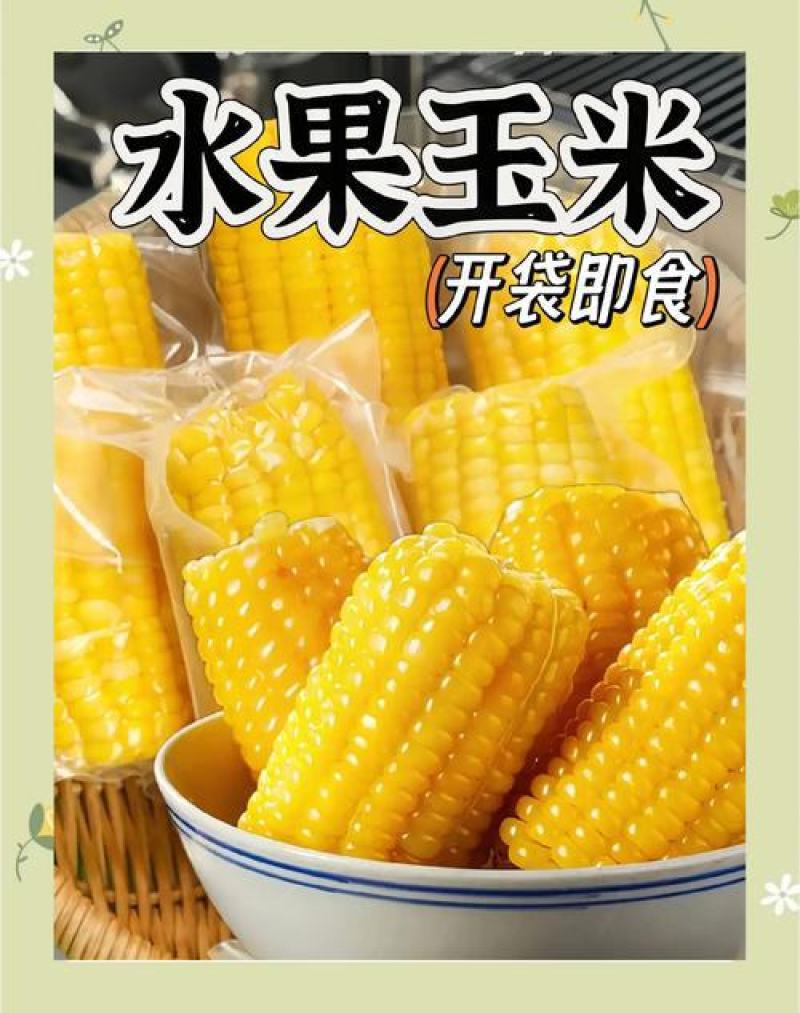 吉林长春玉米，个头大，口感香甜软糯，大量现货，一件代发