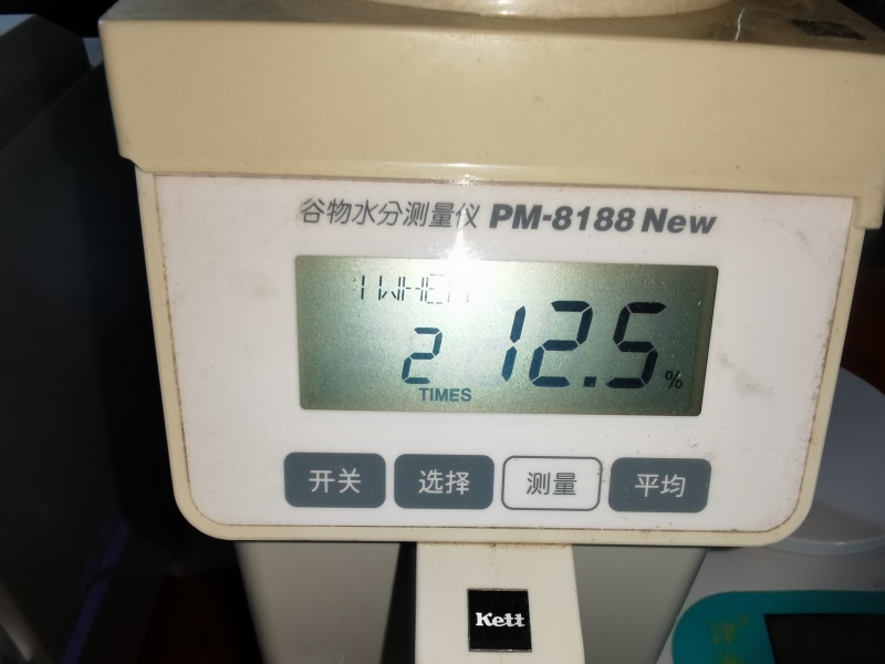 401小麦4000吨出售13.3水分