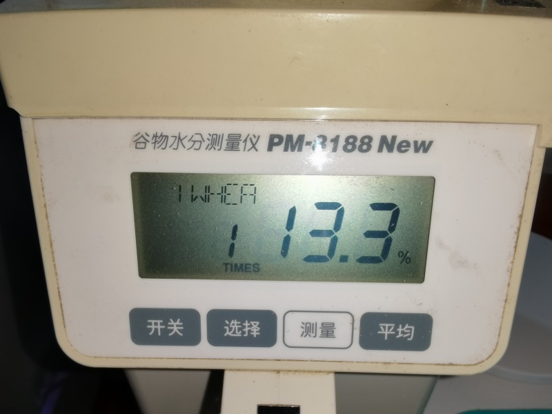 401小麦4000吨出售13.3水分