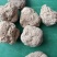虎奶菇菌（海南产）野生、一级品、通货