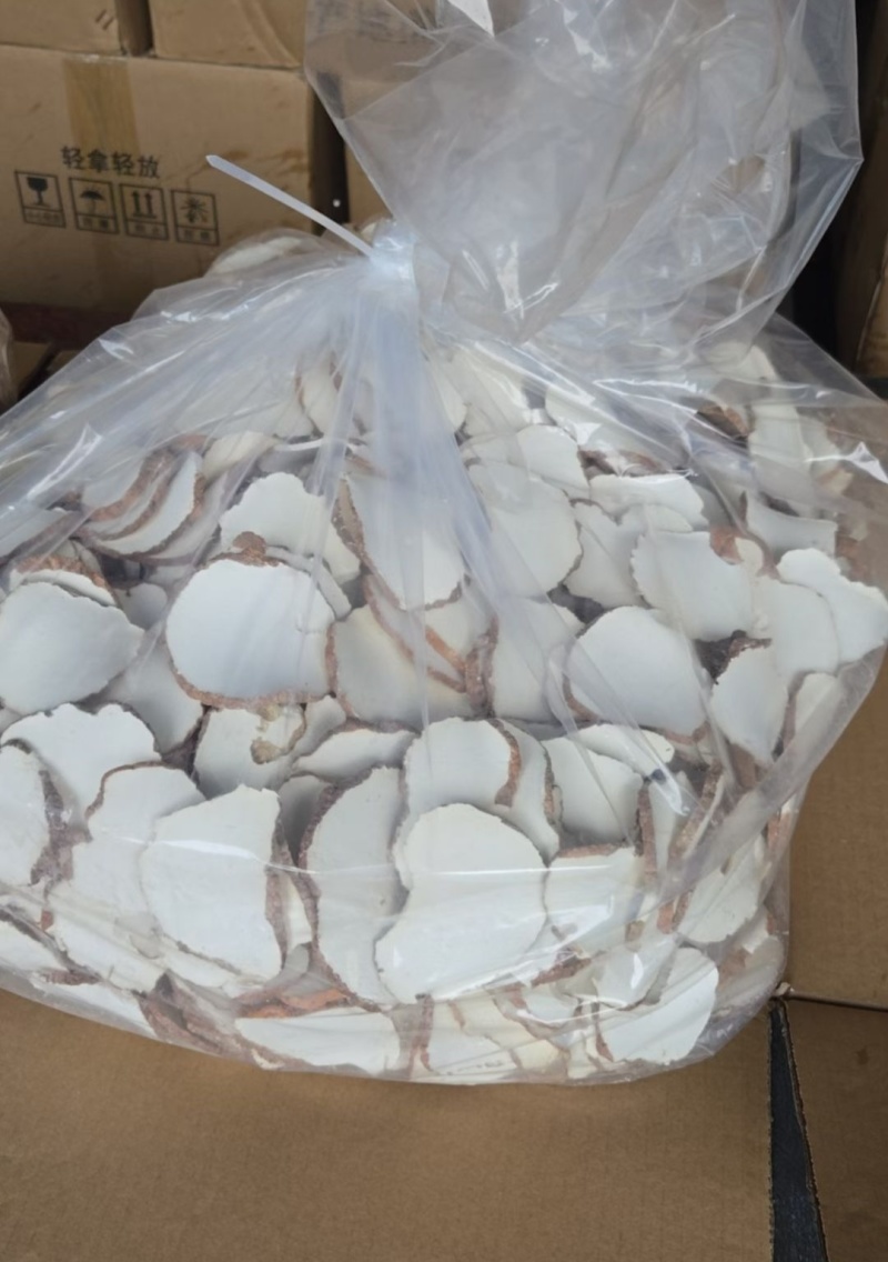 虎奶菇菌（海南产）野生、一级品、通货