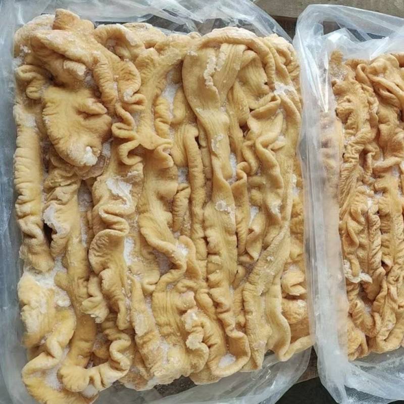 纯干肥肠去油85新鲜冷冻猪大肠免洗猪肥肠半熟猪大肠