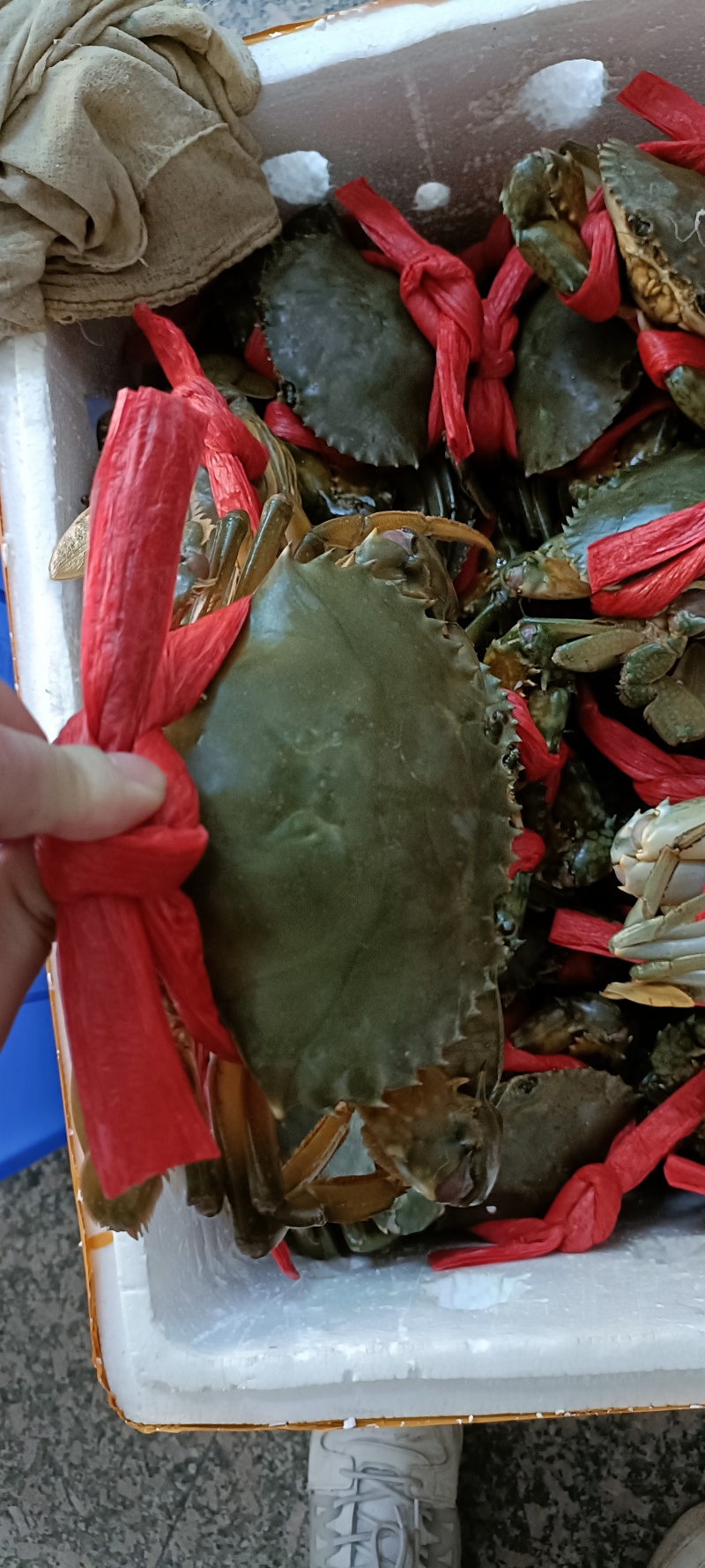 膏蟹