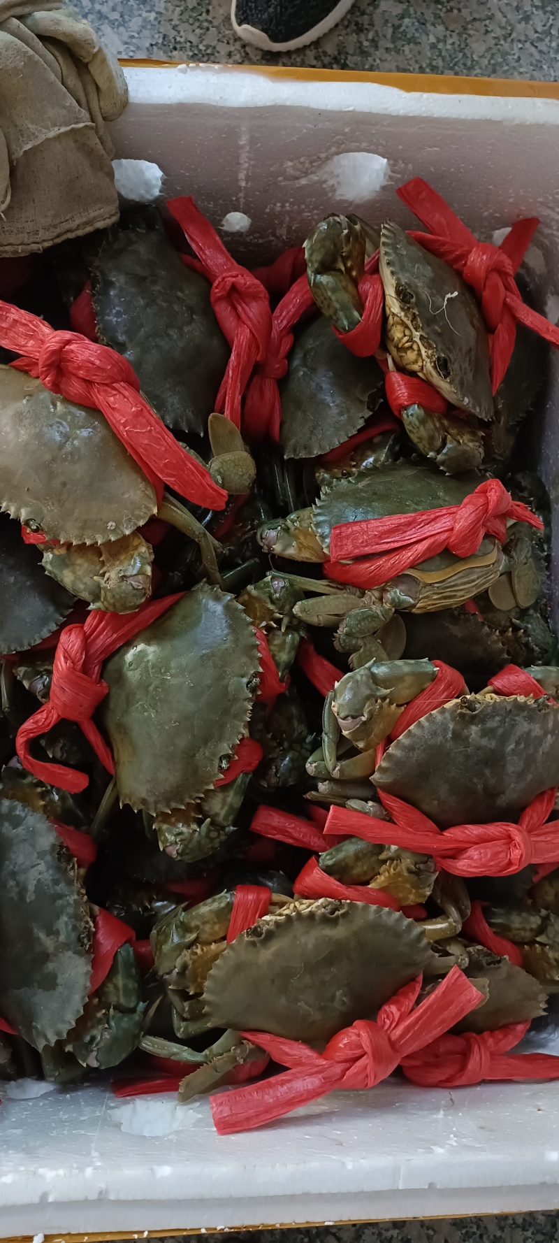 膏蟹