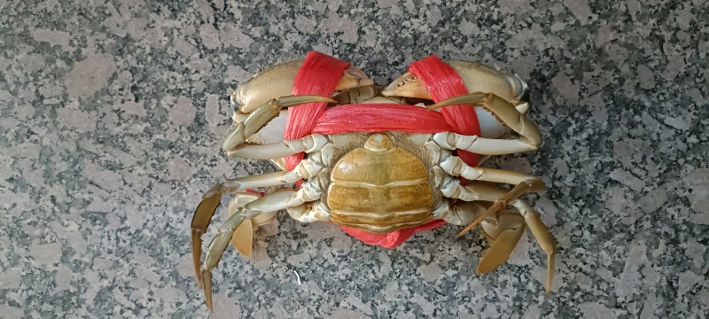 膏蟹