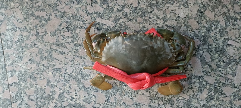 膏蟹