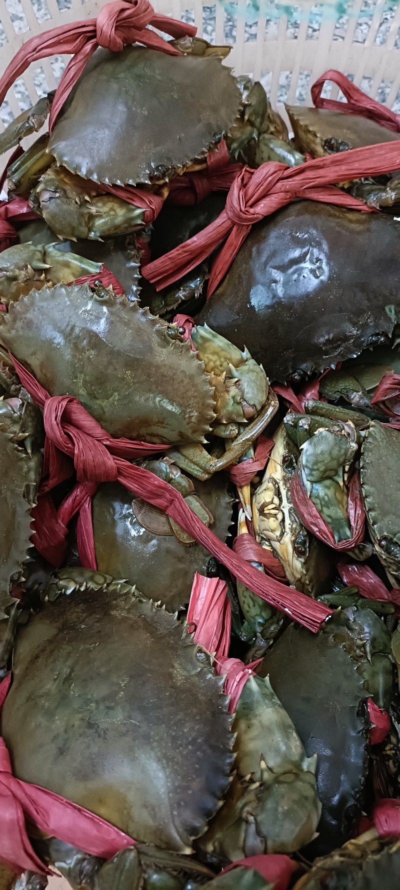 膏蟹