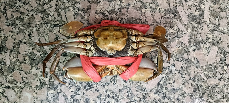 膏蟹