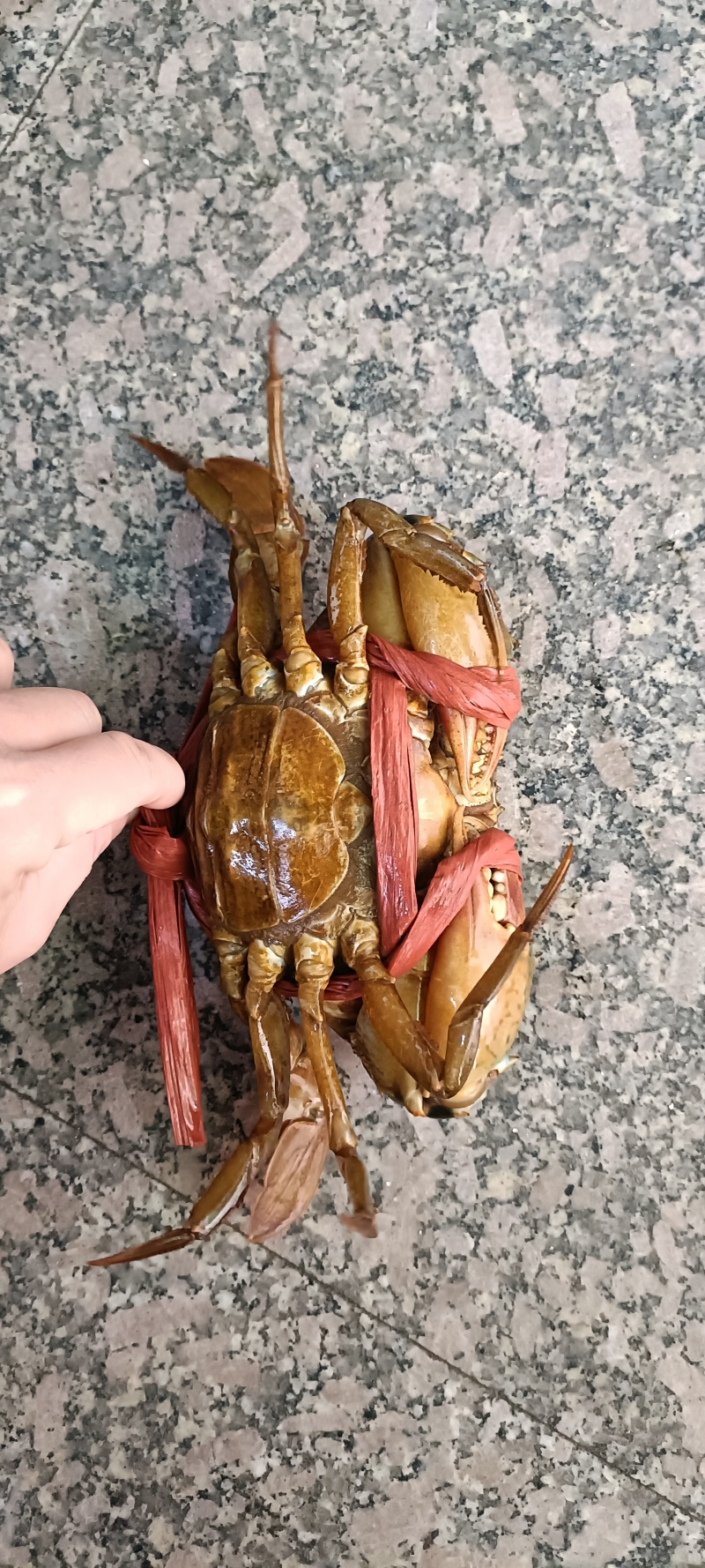 膏蟹