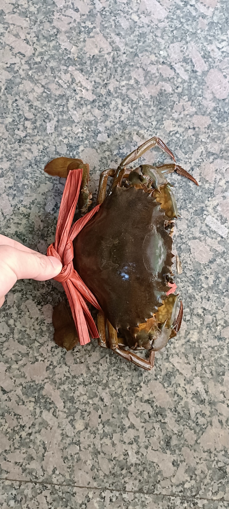 膏蟹