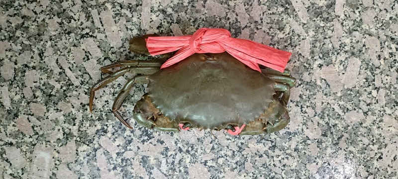 膏蟹